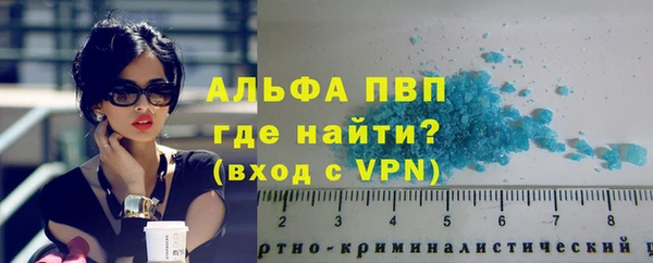 spice Богородск
