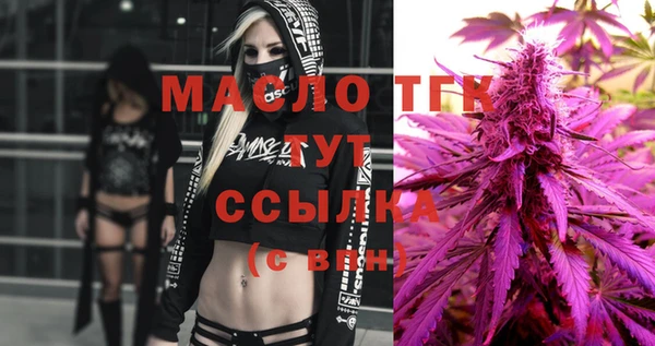 spice Богородск