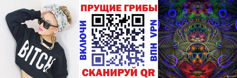 Псилоцибиновые грибы Psilocybe  закладки  Ядрин 